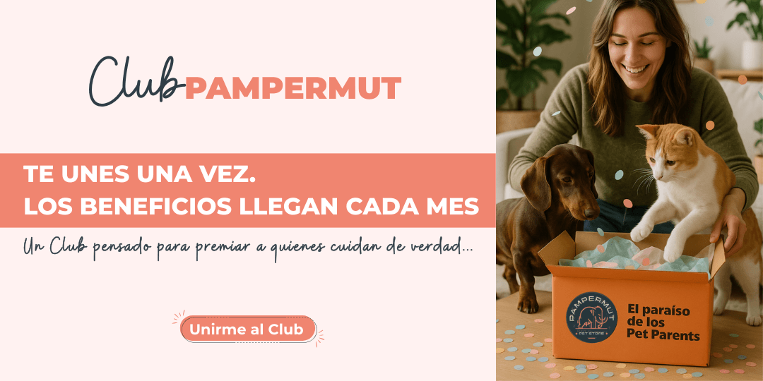 Club Pampermut | Sistema Fidelizaci&oacute;n 1